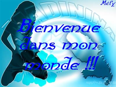 Bienvenue !