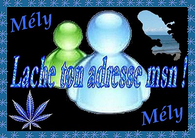 Lache ton adresse msn !